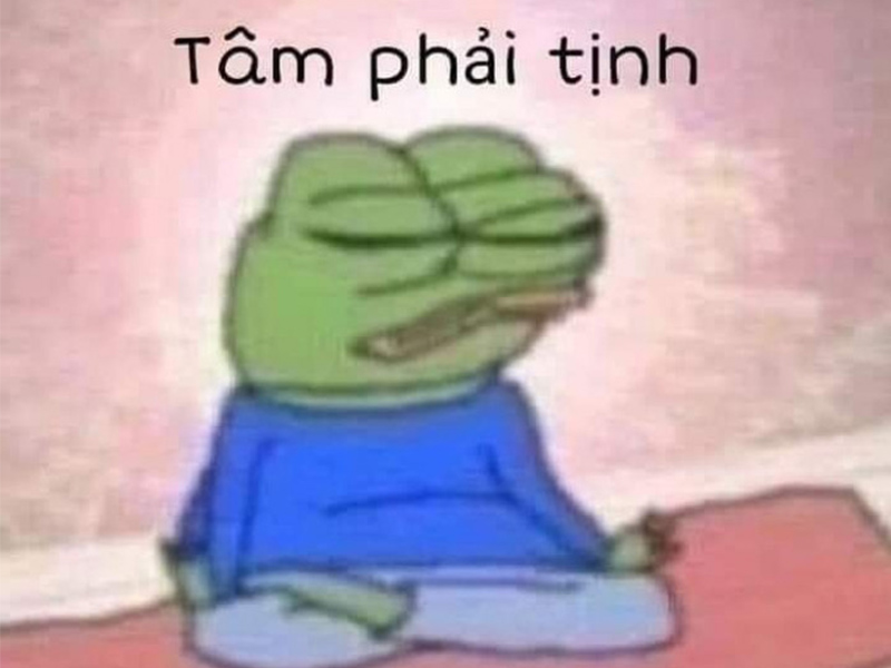 tịnh t&acirc;m meme