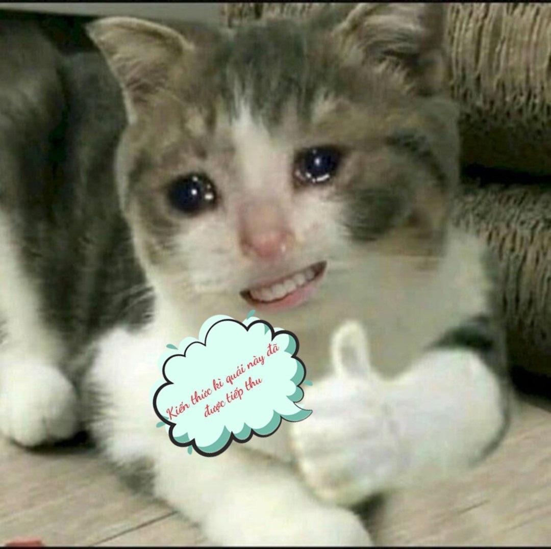 tương t&aacute;c với meme kiến thức