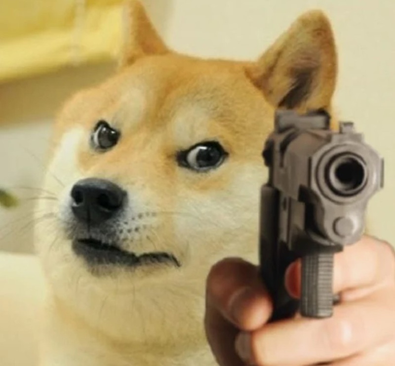 wallpaper meme ch&oacute; độc đ&aacute;o