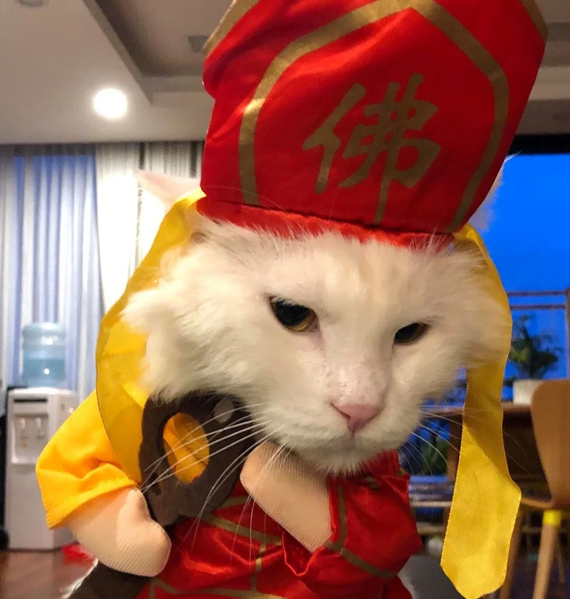 &yacute; nghĩa Đường Tăng meme