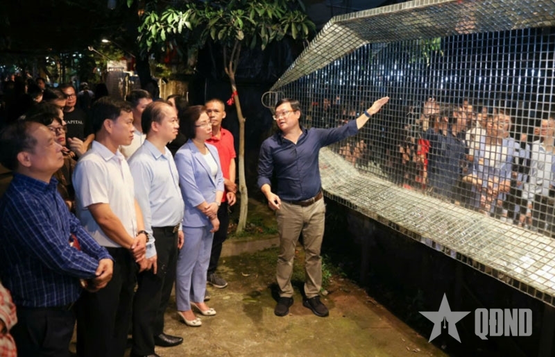 Con đường phát triển sự nghiệp của giám tuyển văn hóa nghệ thuật