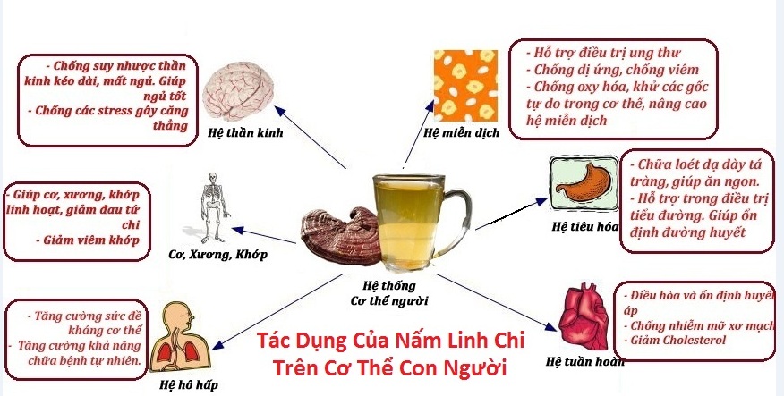 Phân tích các tác phẩm tiêu biểu của Linh Chi
